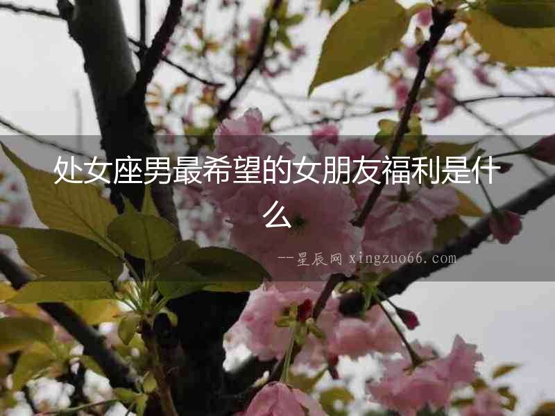 處女座男最希望的女朋友福利是什么