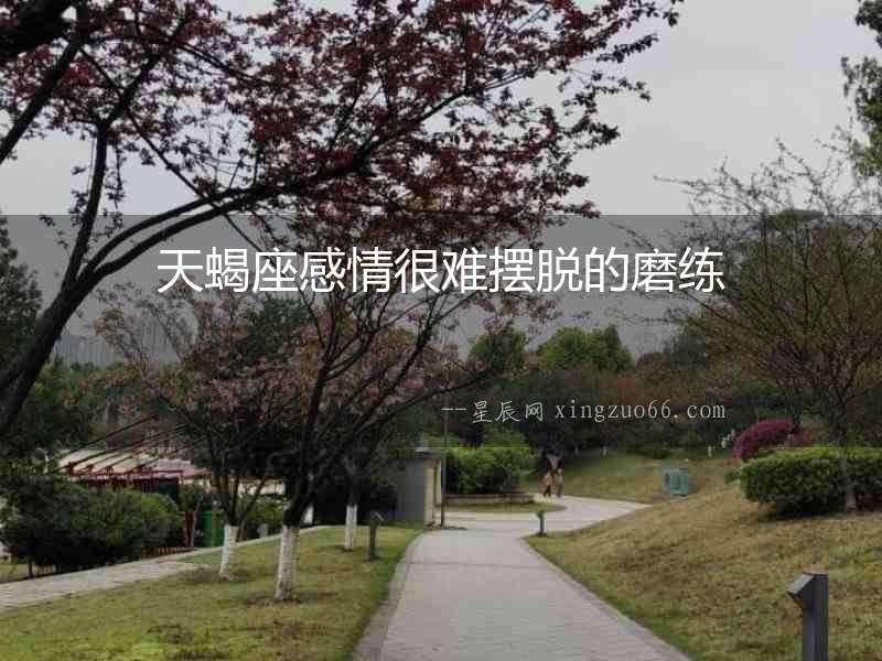 天蝎座感情很難擺脫的磨練