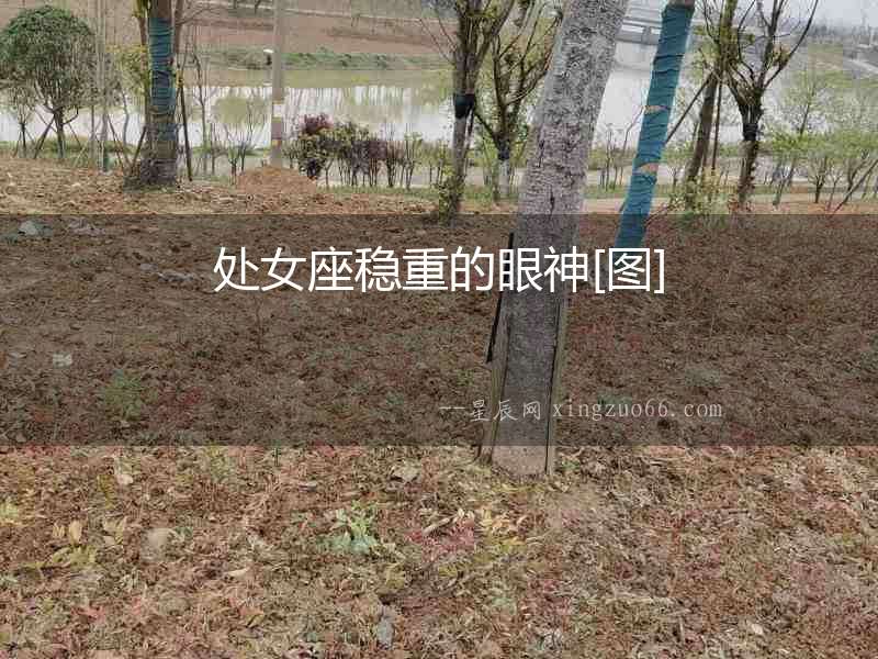 處女座穩(wěn)重的眼神[圖]