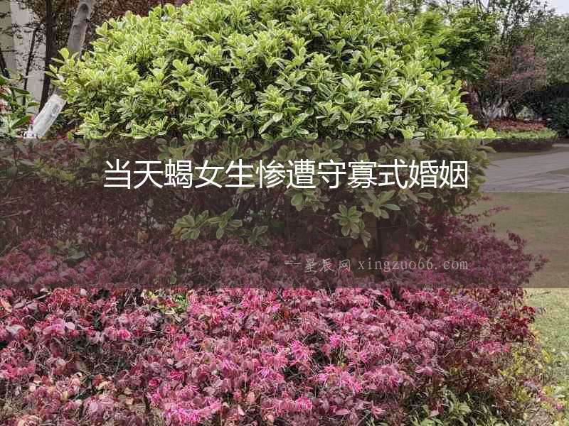 當天蝎女生慘遭守寡式婚姻