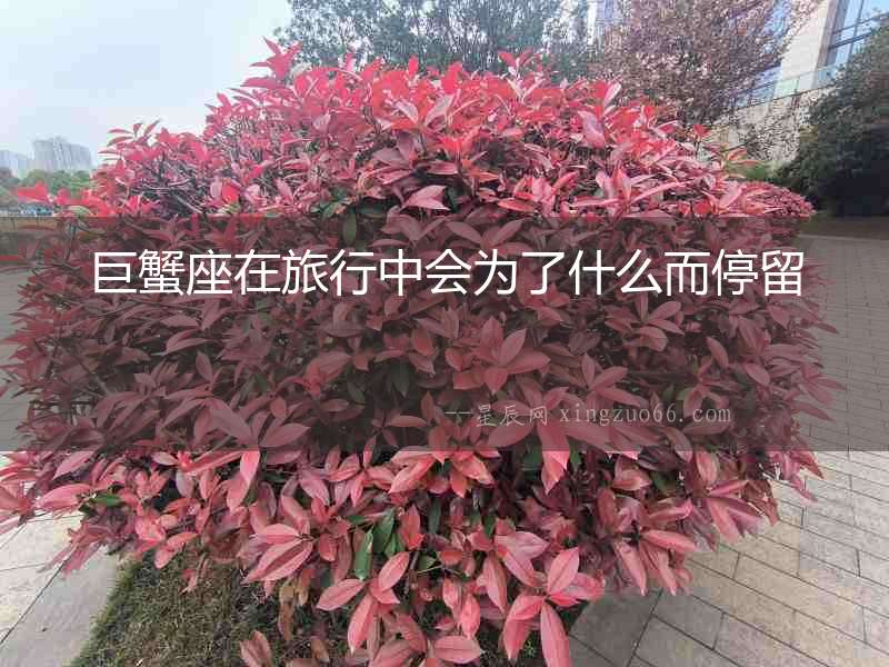 巨蟹座在旅行中會為了什么而停留