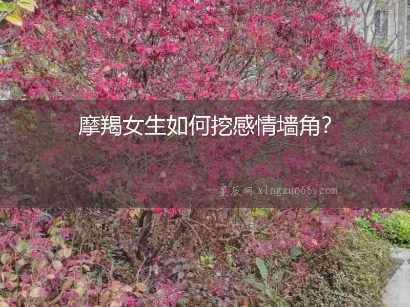 摩羯女生如何挖感情墻角？