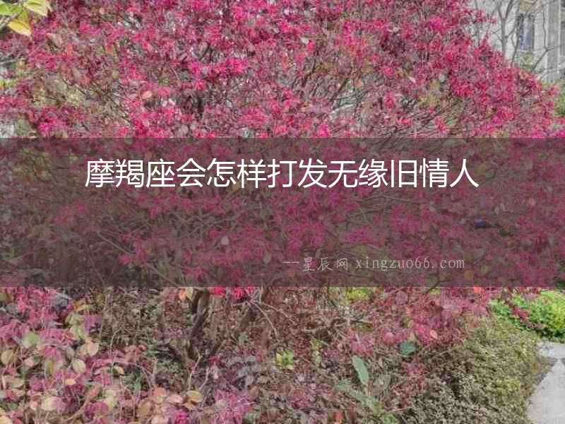 摩羯座會怎樣打發無緣舊情人