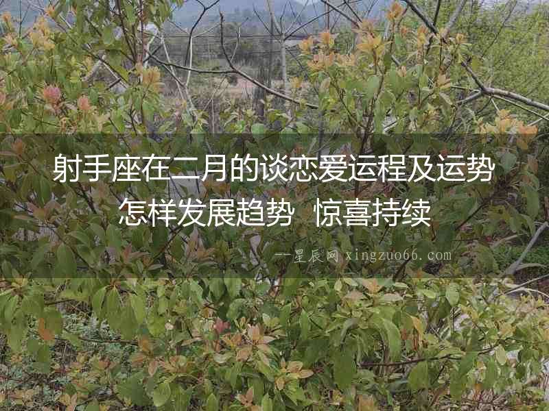 射手座在二月的談戀愛運(yùn)程及運(yùn)勢(shì)怎樣發(fā)展趨勢(shì)  驚喜持續(xù)