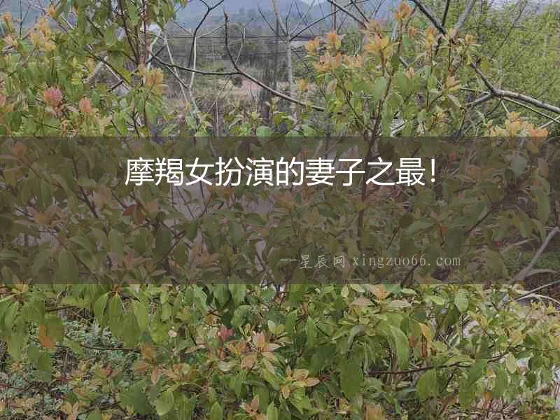 摩羯女扮演的妻子之最！