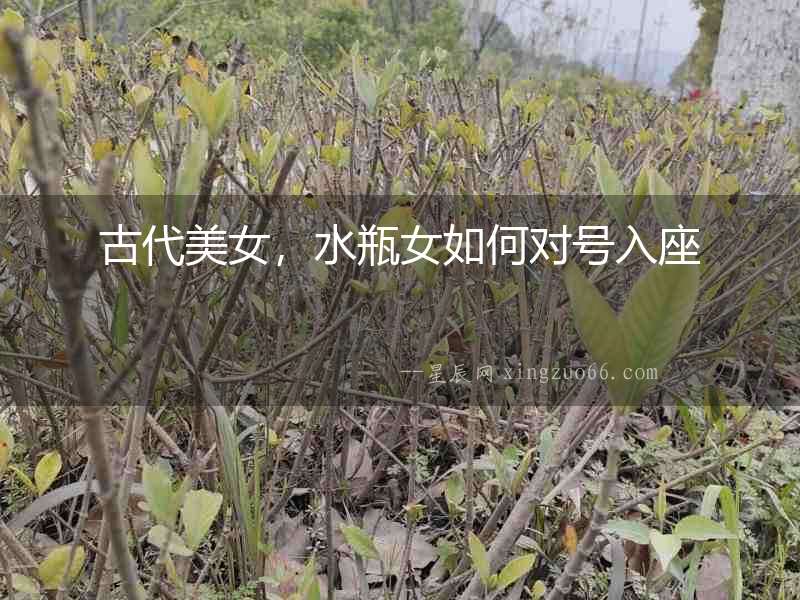 古代美女，水瓶女如何對號入座