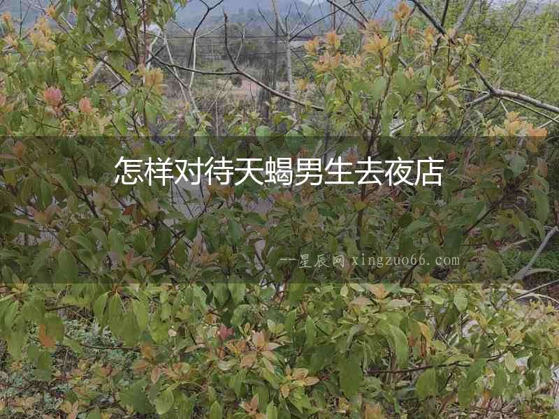 怎樣對待天蝎男生去夜店