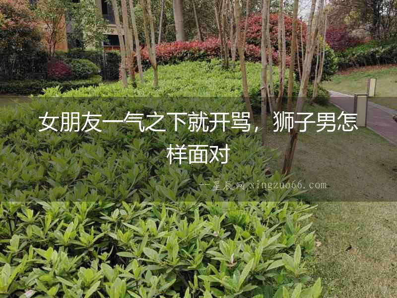 女朋友一氣之下就開罵，獅子男怎樣面對