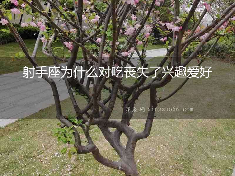 射手座為什么對吃喪失了興趣愛好