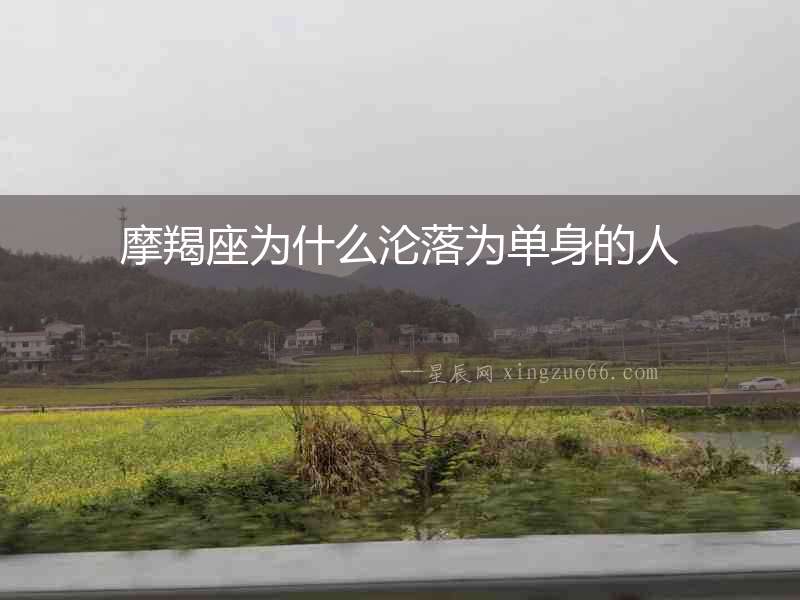 摩羯座為什么淪落為單身的人