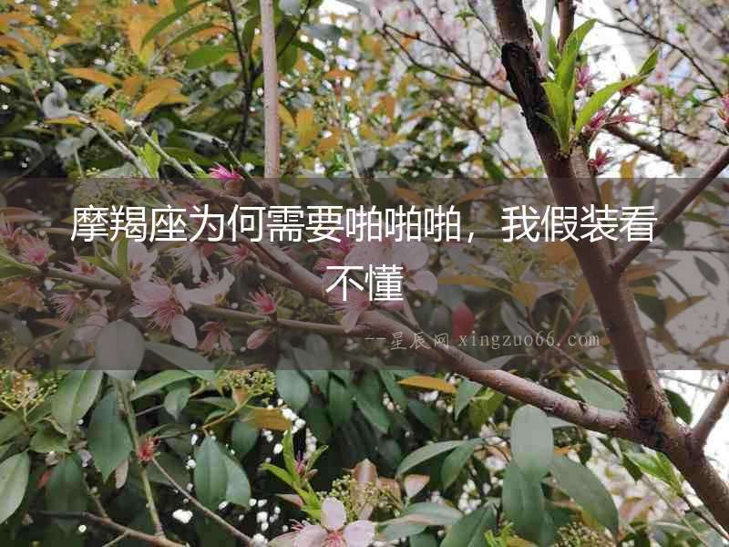 摩羯座為何需要啪啪啪，我假裝看不懂