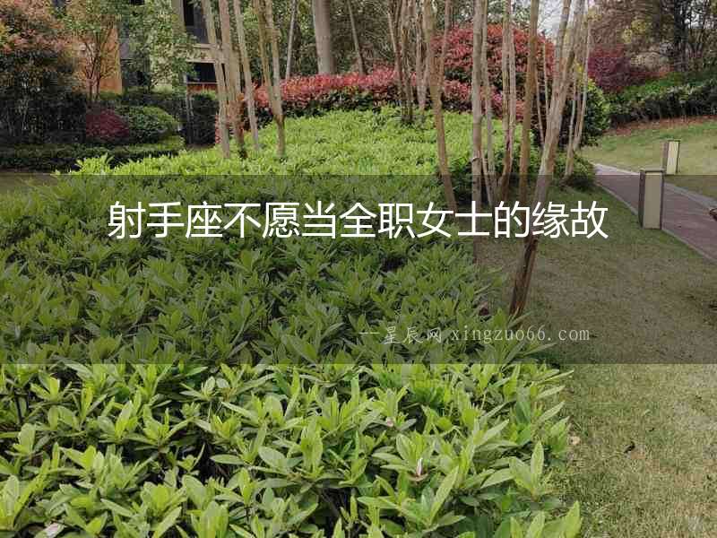 射手座不愿當(dāng)全職女士的緣故