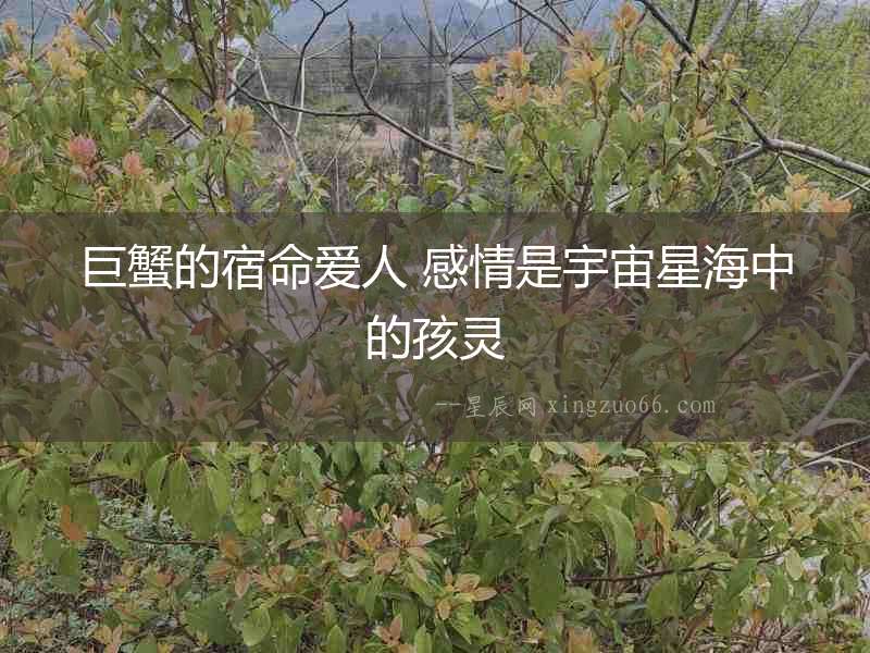 巨蟹的宿命愛人 感情是宇宙星海中的孩靈