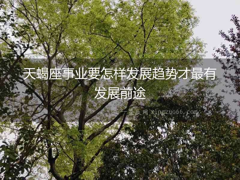 天蝎座事業要怎樣發展趨勢才最有發展前途
