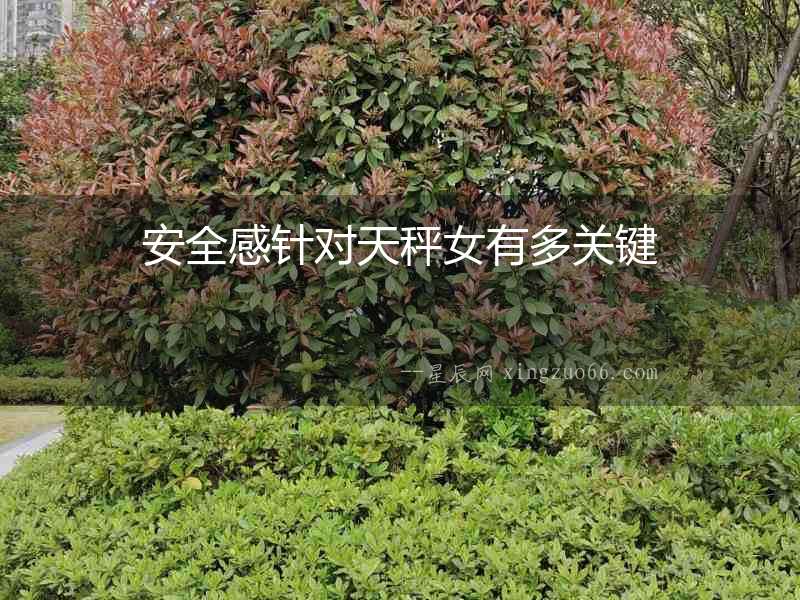 安全感針對天秤女有多關鍵