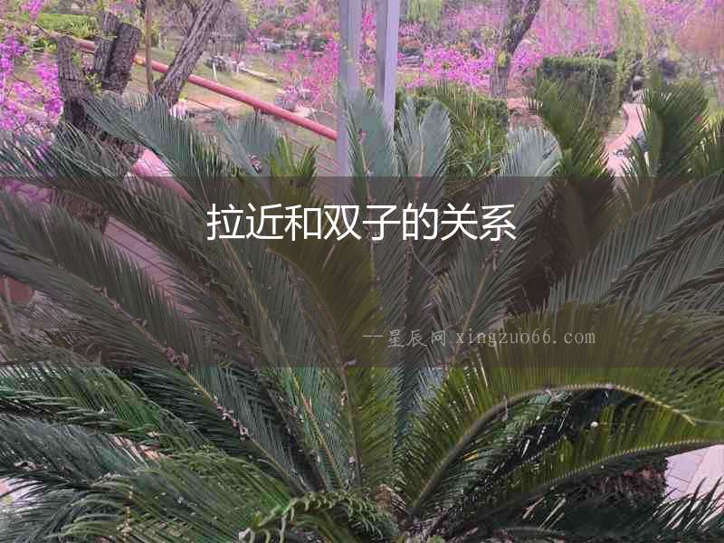 拉近和雙子的關系