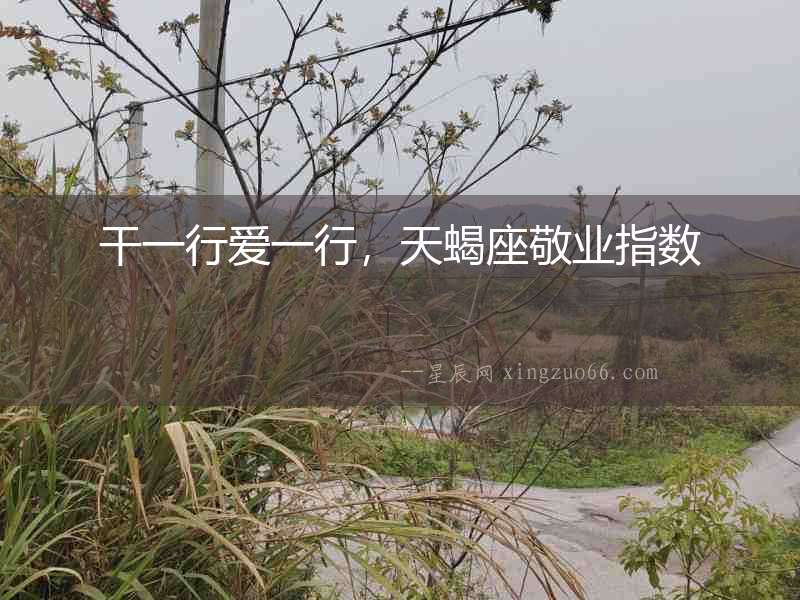 干一行愛一行，天蝎座敬業指數