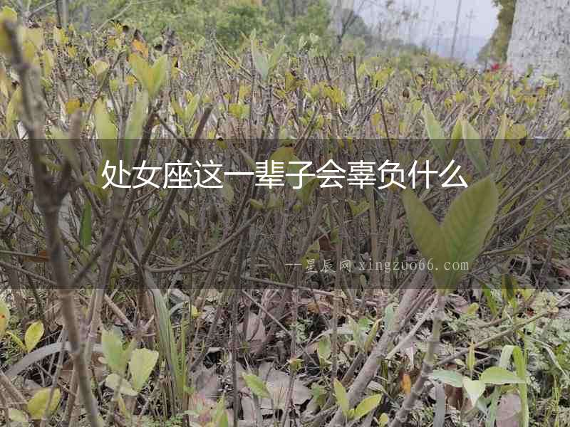 處女座這一輩子會(huì)辜負(fù)什么