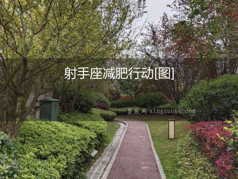 射手座減肥行動[圖]