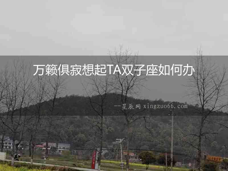 萬籟俱寂想起TA雙子座如何辦