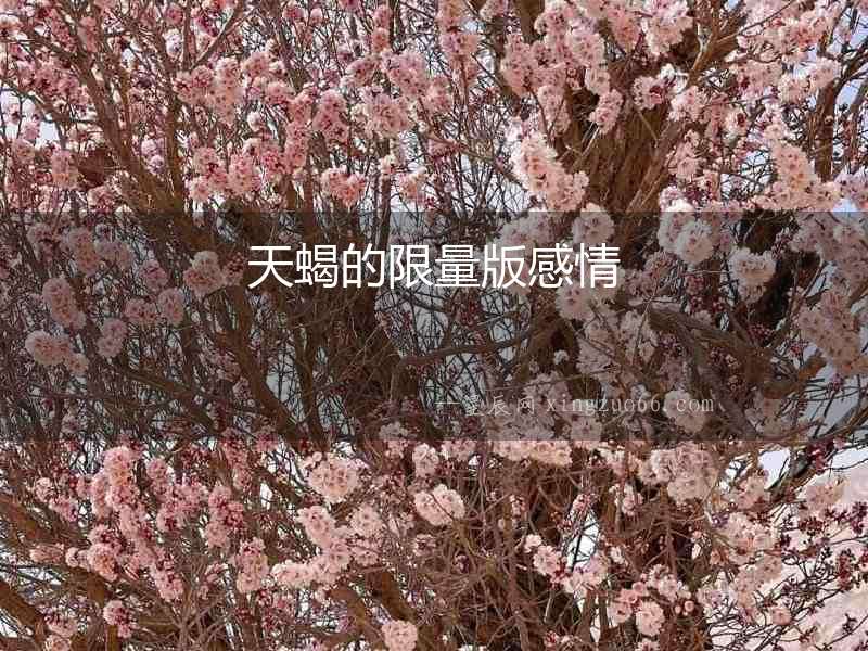 天蝎的限量版感情