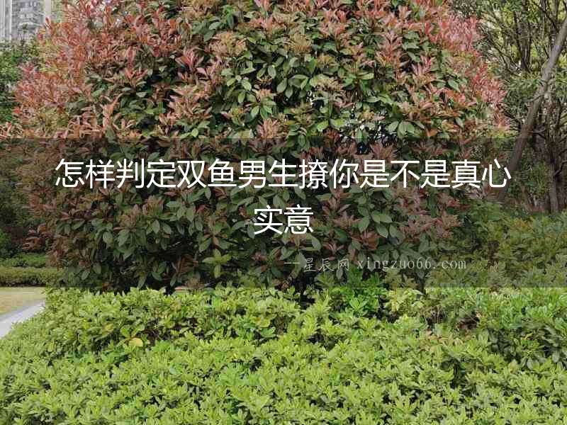 怎樣判定雙魚男生撩你是不是真心實意