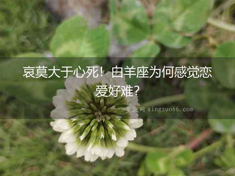 哀莫大于心死！白羊座為何感覺戀愛好難？
