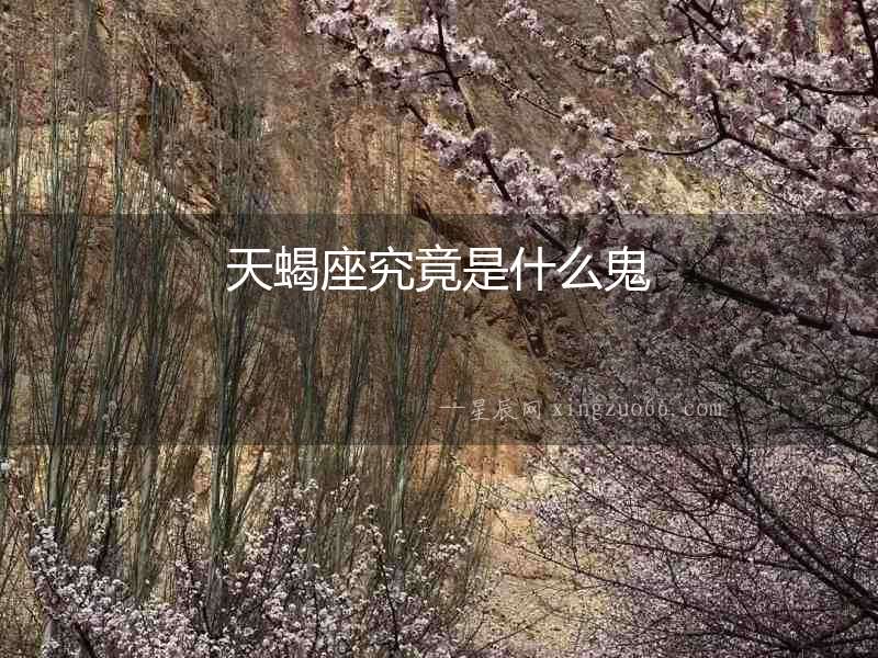 天蝎座究竟是什么鬼
