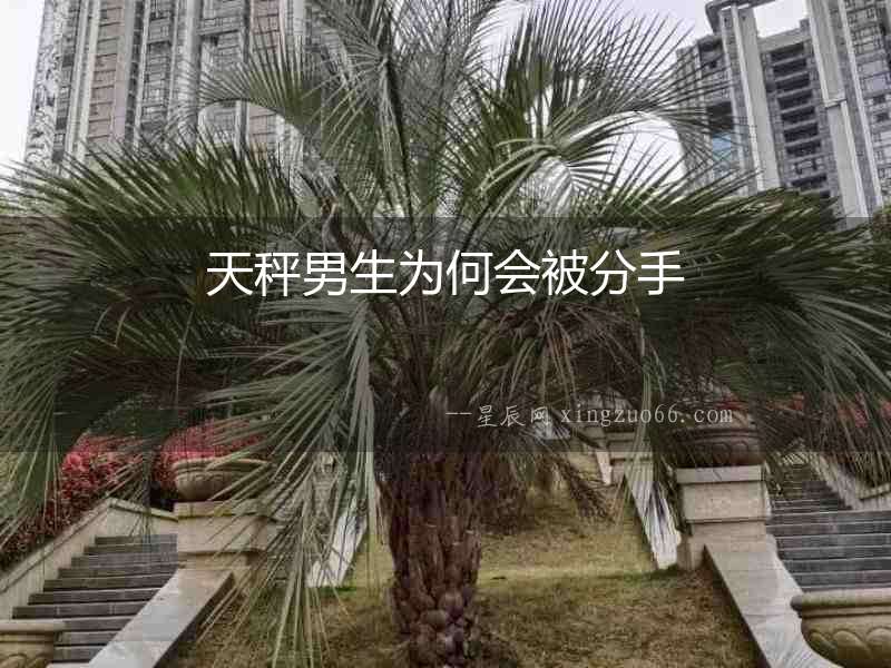 天秤男生為何會被分手