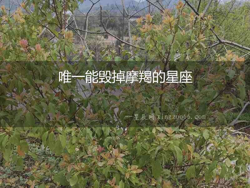 唯一能毀掉摩羯的星座