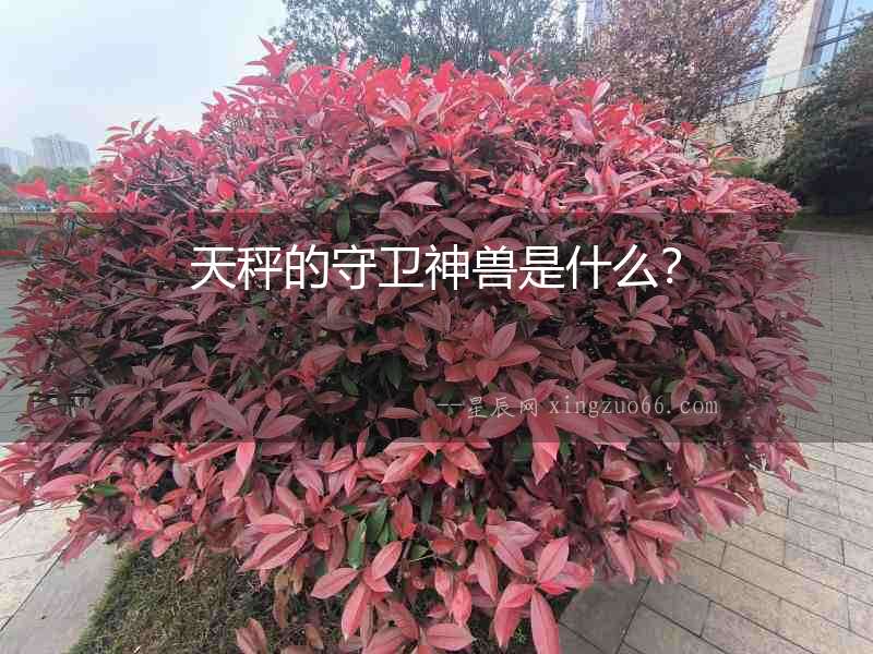 天秤的守衛(wèi)神獸是什么？