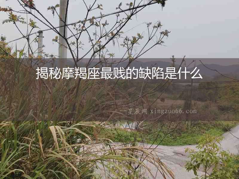 揭秘摩羯座最賤的缺陷是什么