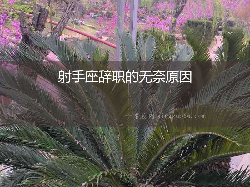 射手座辭職的無奈原因