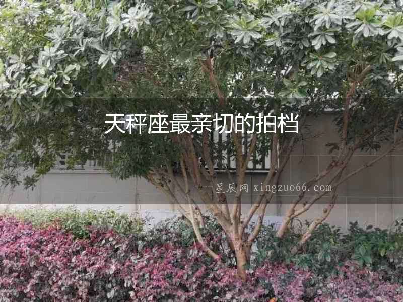天秤座最親切的拍檔