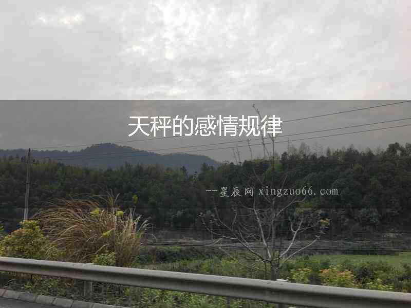 天秤的感情規律