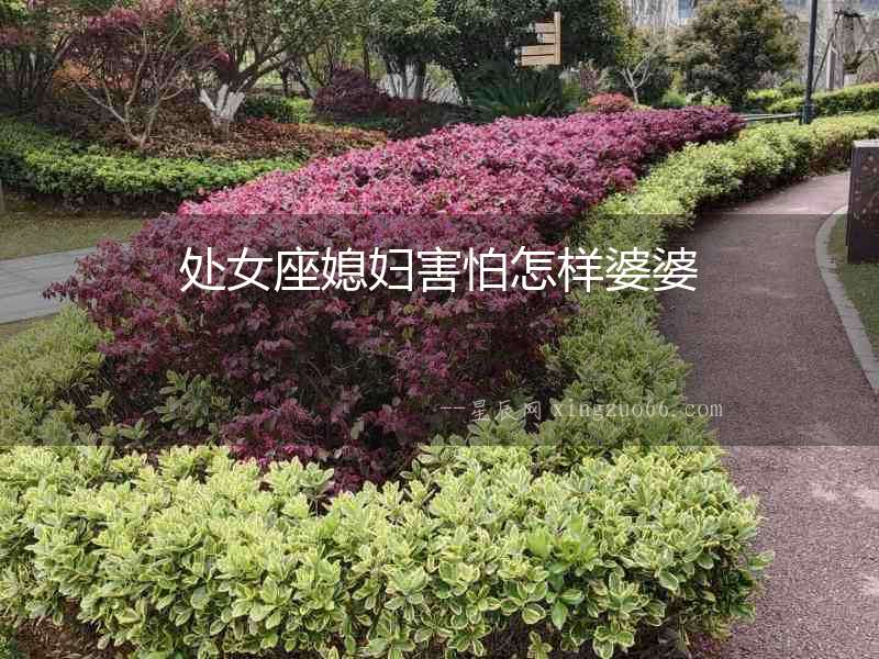 處女座媳婦害怕怎樣婆婆