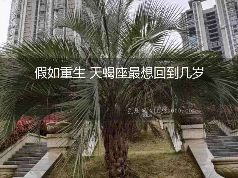 假如重生 天蝎座最想回到幾歲