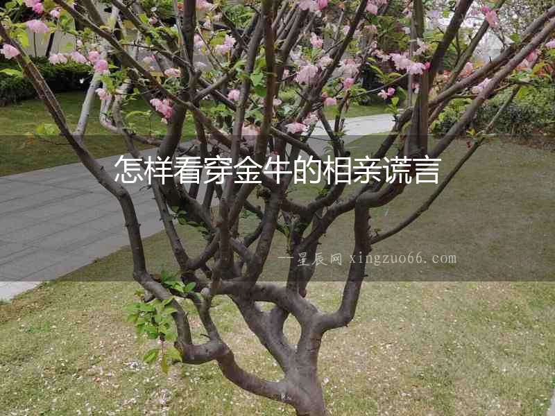 怎樣看穿金牛的相親謊言
