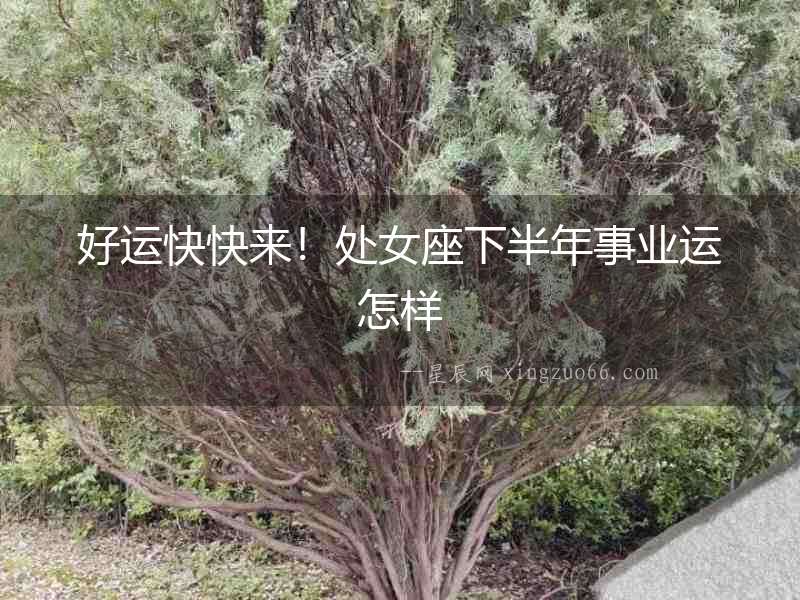 好運快快來！處女座下半年事業運怎樣