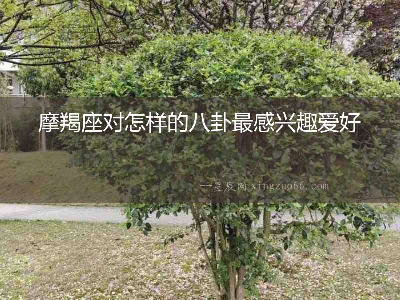 摩羯座對怎樣的八卦最感興趣愛好
