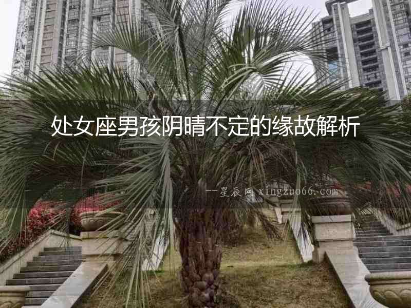 處女座男孩陰晴不定的緣故解析