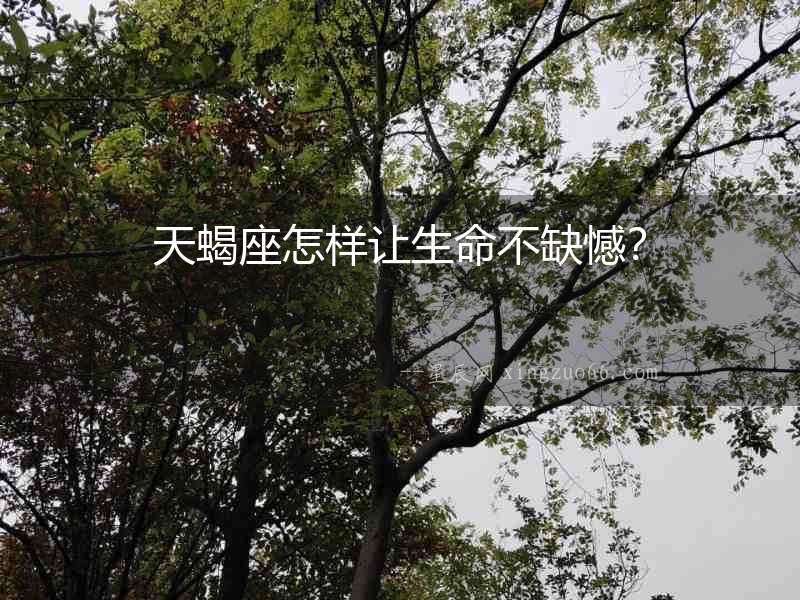 天蝎座怎樣讓生命不缺憾？