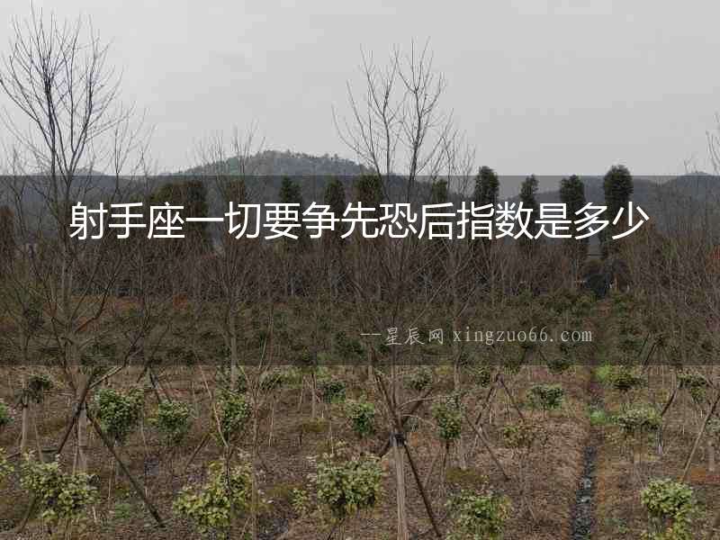 射手座一切要爭先恐后指數是多少