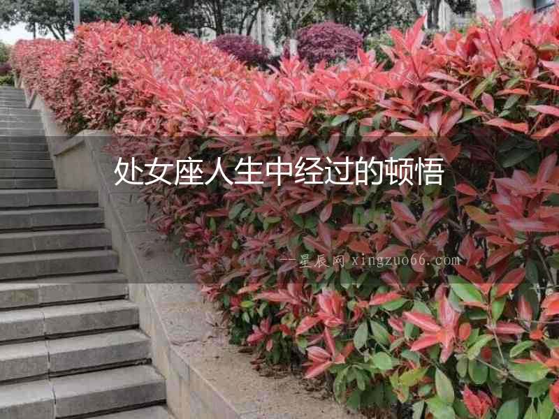 處女座人生中經過的頓悟