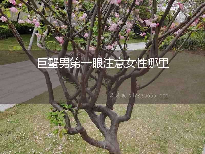 巨蟹男第一眼注意女性哪里