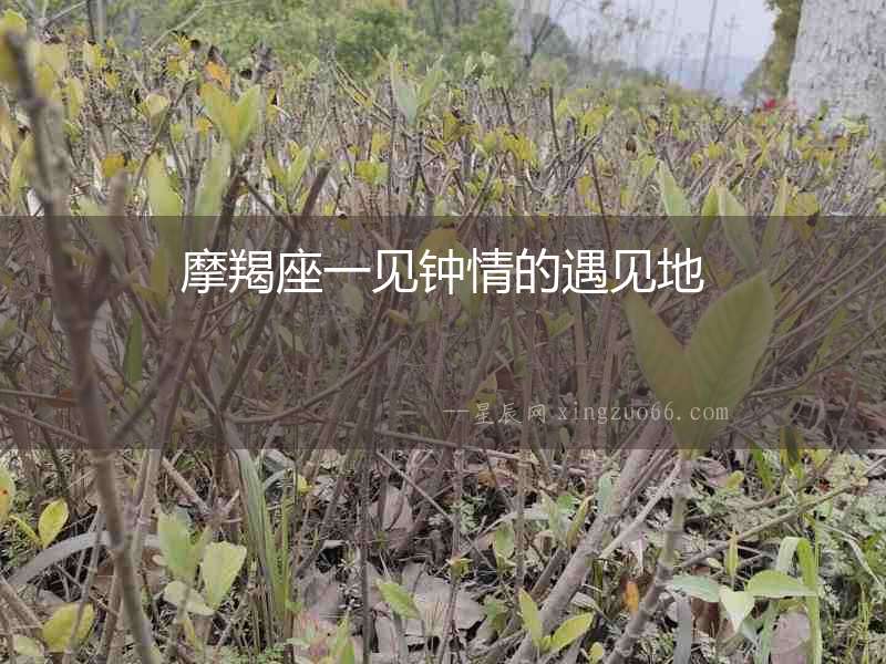 摩羯座一見鐘情的遇見地