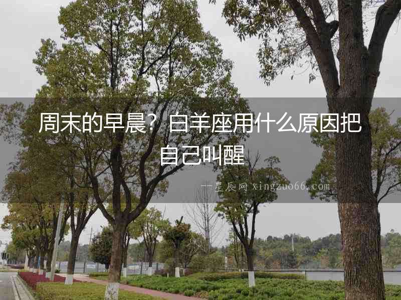 周末的早晨？白羊座用什么原因把自己叫醒