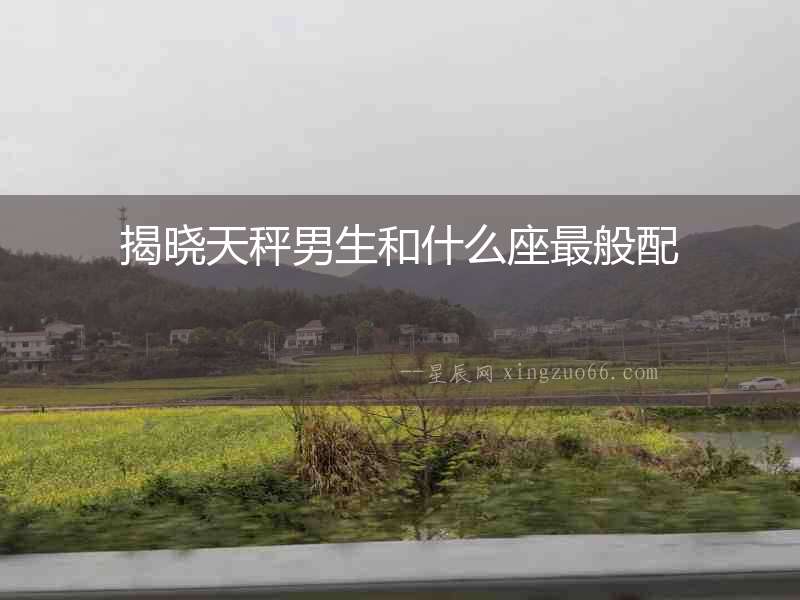 揭曉天秤男生和什么座最般配