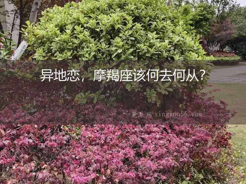 異地戀，摩羯座該何去何從？