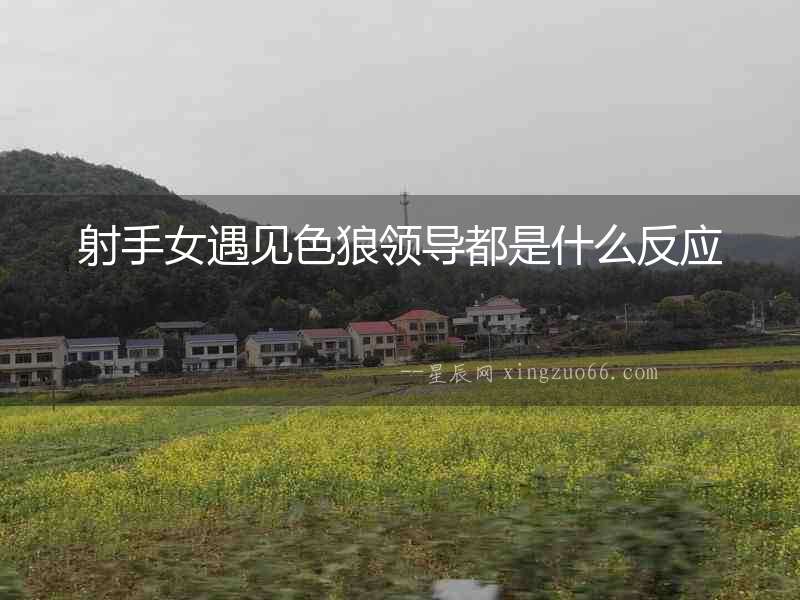 射手女遇見色狼領導都是什么反應